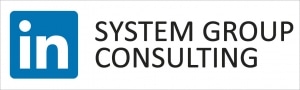 LINKEDIN-SYSTEM-GROUP-CONSULTING
